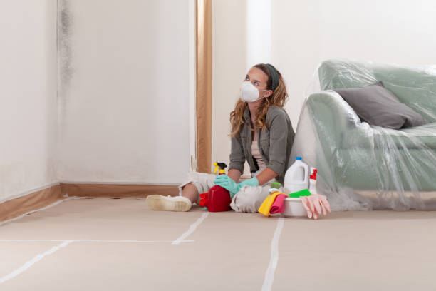 Reliable Commercial Mold Remediation contractor in Montville, NJ by 24 Hour Mold Removal
