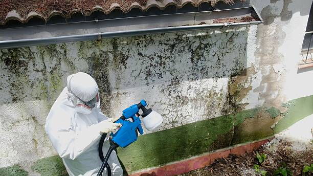 Top rated local Commercial Mold Remediation specialists in Montville, NJ